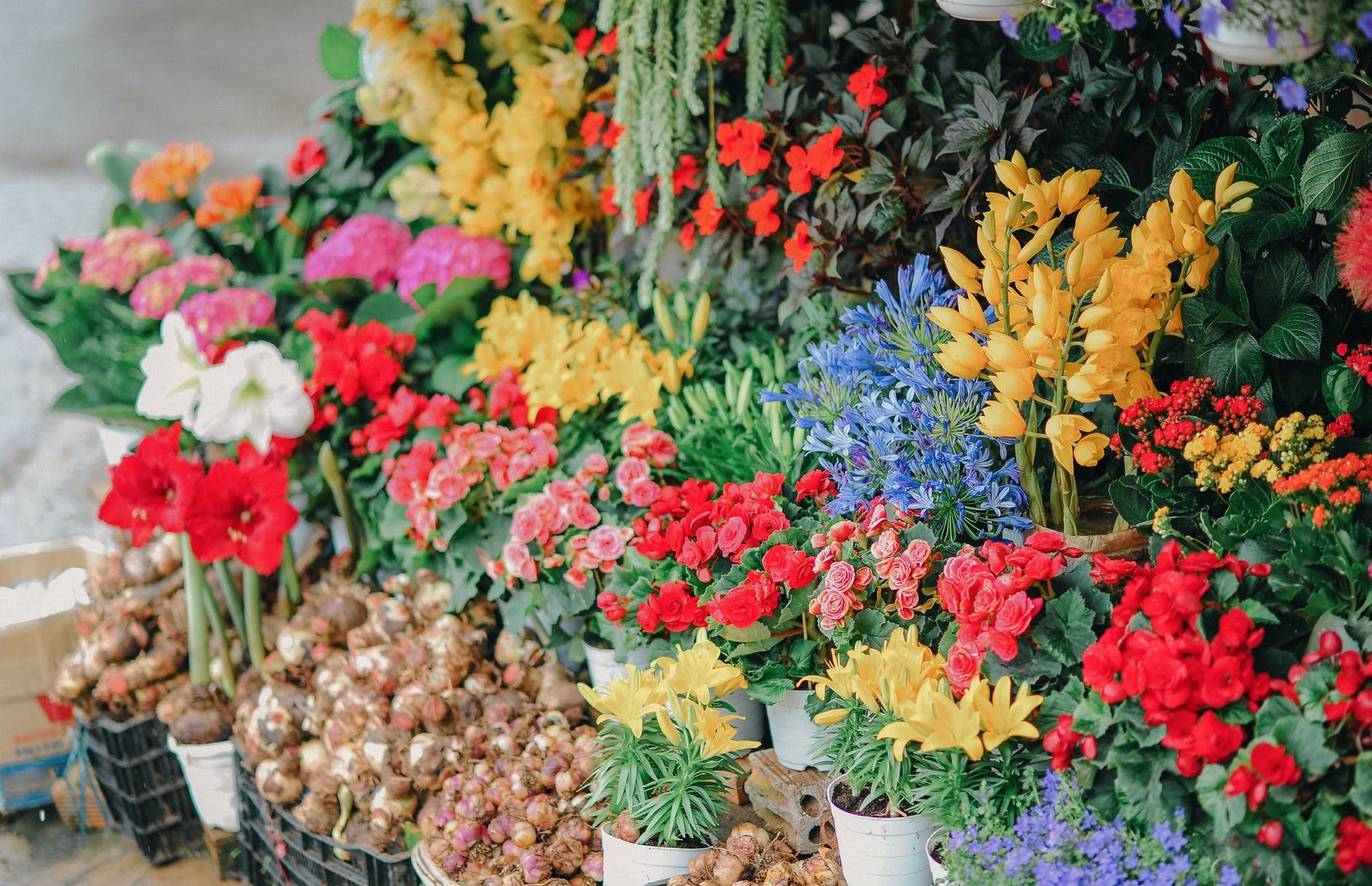 Know your recipient's favorite flowers